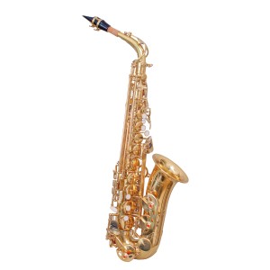 WAXWING AS100 dark gold lacquer Eb alto saxophone professional with hard case