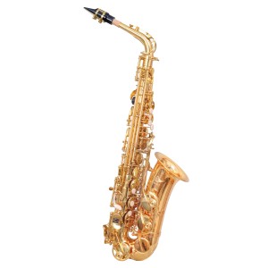 WAXWING ALTO WAS502G SAXOPHONE Eb GOLD LACQUER WITH CASE PROFESSIONAL sound