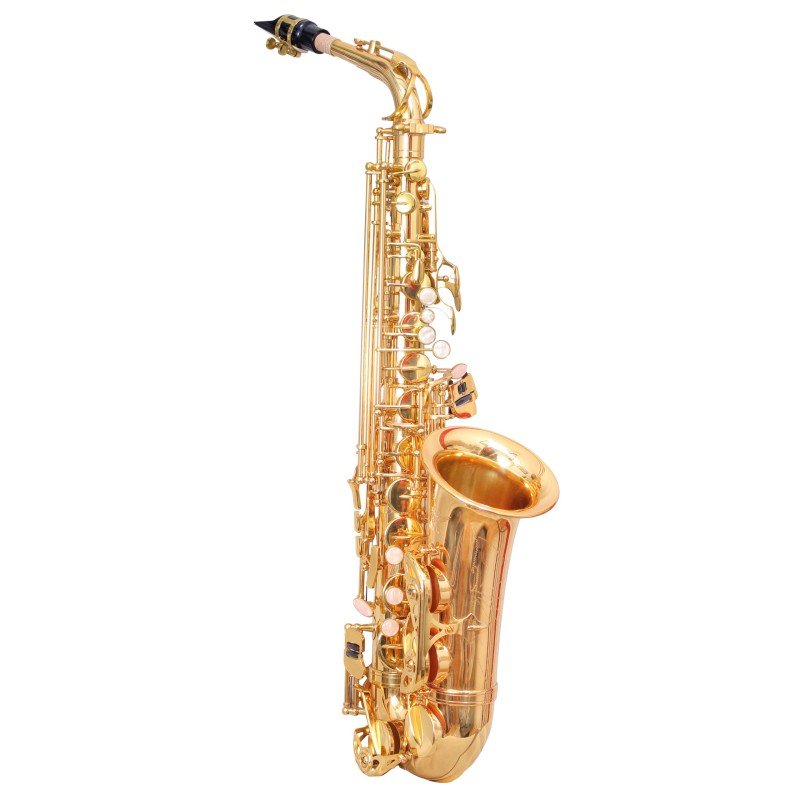 WAXWING ALTO WAS502G SAXOPHONE Eb GOLD LACQUER WITH CASE PROFESSIONAL sound WAXWING ALTO WAS502G SAXOPHONE Eb GOLD LACQUER WITH CASE PROFESSIONAL sound