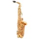 WAXWING ALTO WAS502G SAXOPHONE Eb GOLD LACQUER WITH CASE PROFESSIONAL sound WAXWING ALTO WAS502G SAXOPHONE Eb GOLD LACQUER WITH CASE PROFESSIONAL sound