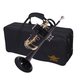 WAXWING trumpet Bb imported sound quality good with hard case (black)