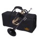 WAXWING trumpet Bb imported sound quality good with hard case (black) WAXWING trumpet Bb imported sound quality good with hard case (black)