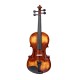 Waxwing professional Violin 4/4 with Bow and Carrying Case, Natural Wood glossy Finish