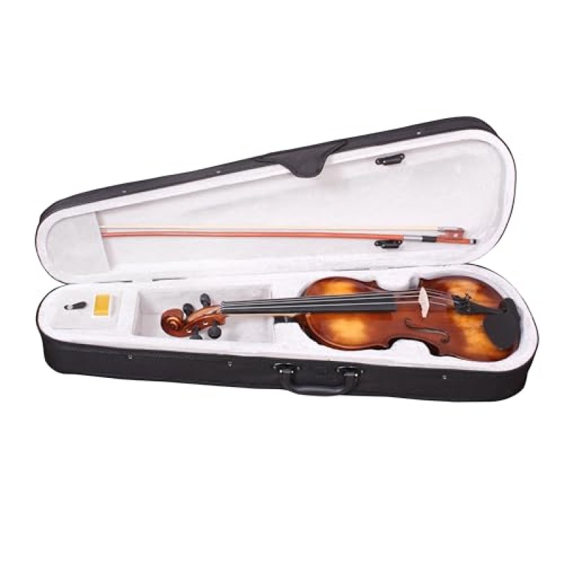 Waxwing professional Violin 4/4 with Bow and Carrying Case, Natural Wood glossy Finish