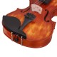 Waxwing 4/4 Full Size Violin with Bow and Carrying Case, Natural Wood glossy Finish