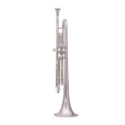 Waxwing india Professional Bb Trumpet, Silver-Plated Brass, Standard Size with 3 Valves with imported oil gloves cleaning kit hard case