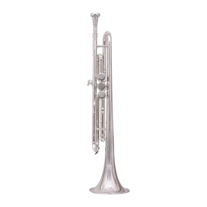 Waxwing india Professional Bb Trumpet, Silver-Plated Brass, Standard Size with 3 Valves with imported oil gloves cleaning kit hard case Waxwing india Professional Bb Trumpet, Silver-Plated Brass, Standard Size with 3 Valves with imported oil gloves cleaning kit hard case