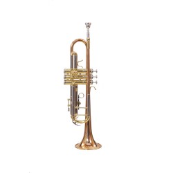 Professional Bb Trumpet Rose Gold and Silver Finish, Standard Orchestral Instrument